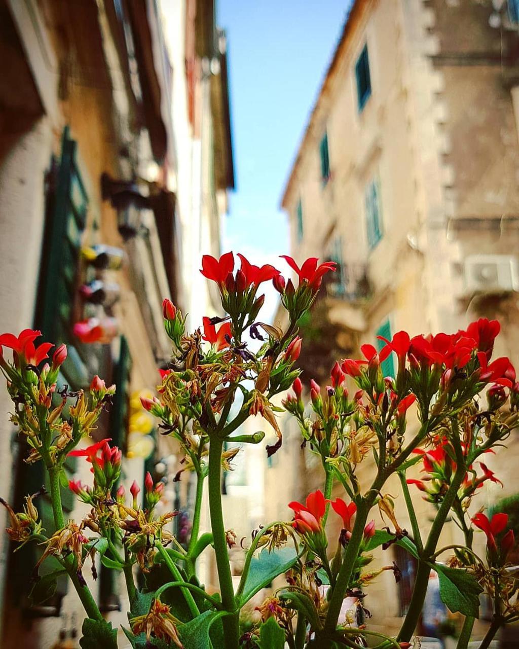 Kotor Bagus - Cozy Boutique Old Town Studio With Seaview Terrace Ngoại thất bức ảnh